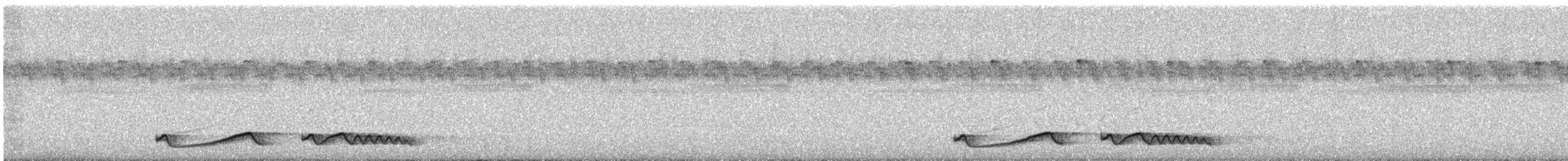 Дрімлюга міомбовий [група pectoralis] - ML646530236