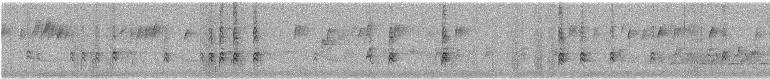 Ev Çütresi - ML646530674