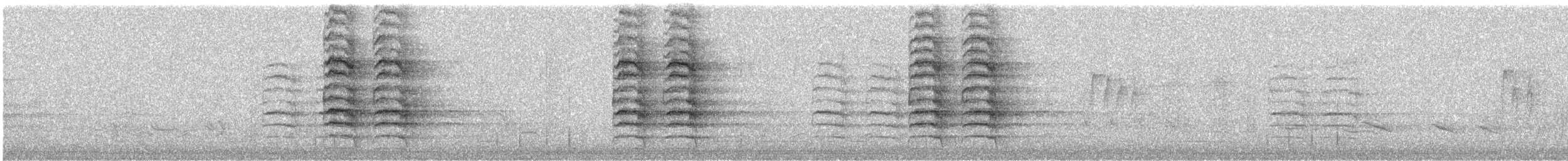 Mavi Karga - ML646530678