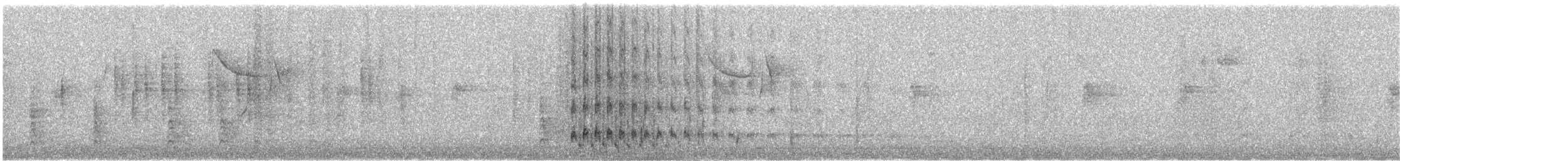 sørgedue - ML646530751