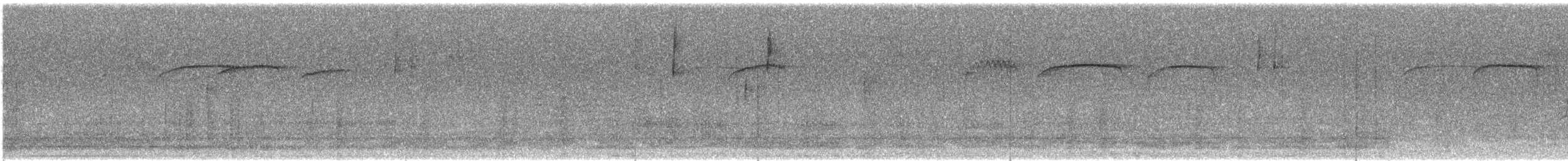 einersidensvans - ML646530861