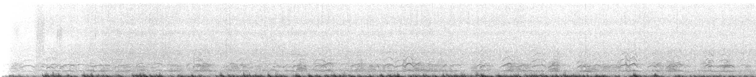 snøgås - ML646531046