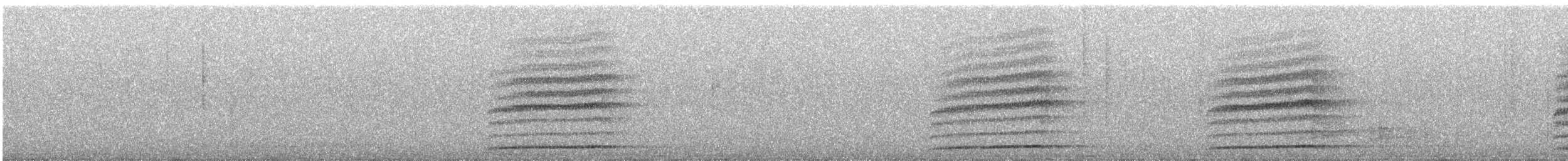 nattsvermerugle - ML646531737