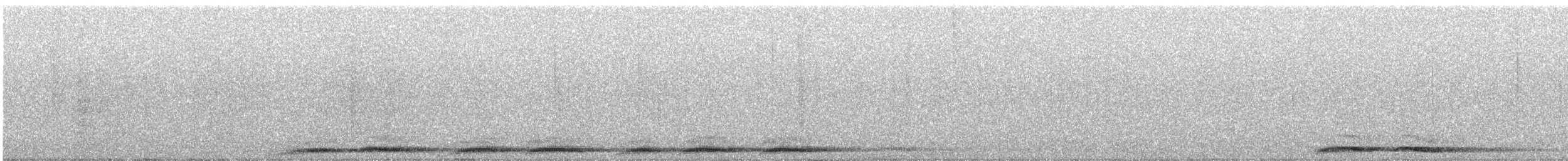 nattsvermerugle - ML646531766