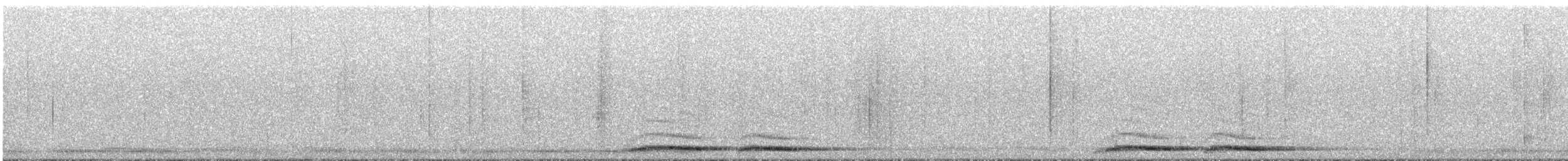 nattsvermerugle - ML646531788