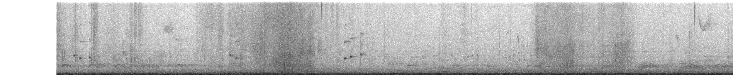 chřástal virginský - ML646532306