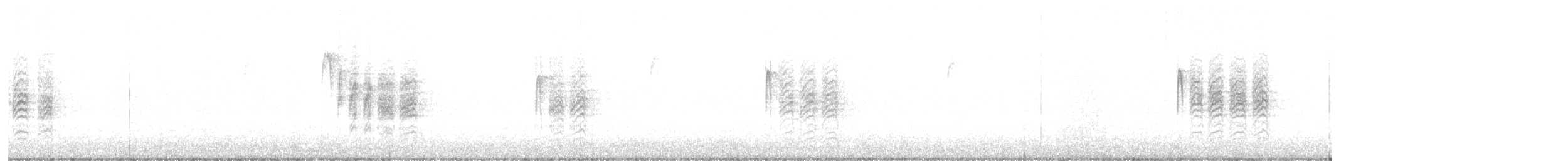 sýkora karolínská - ML646532469