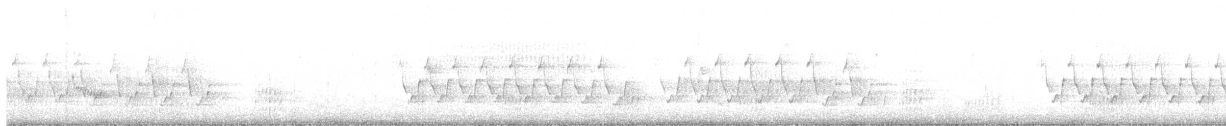 střízlík karolínský - ML646532605