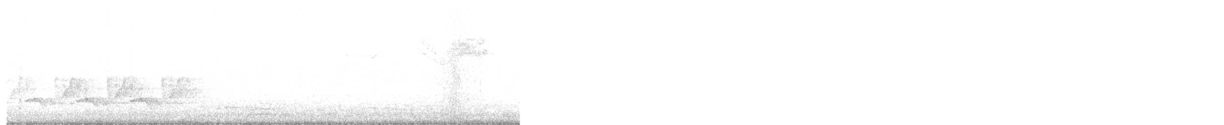 střízlík karolínský - ML646532606