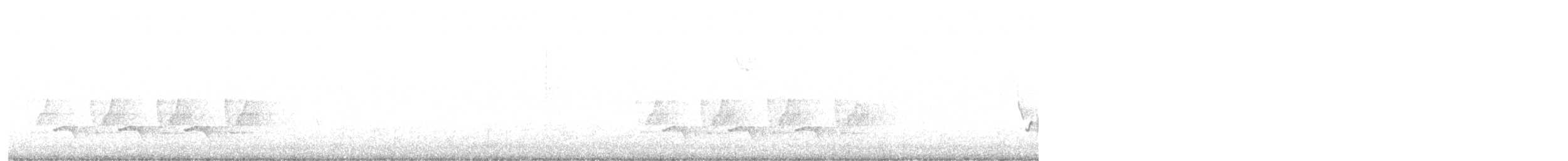 střízlík karolínský - ML646532607