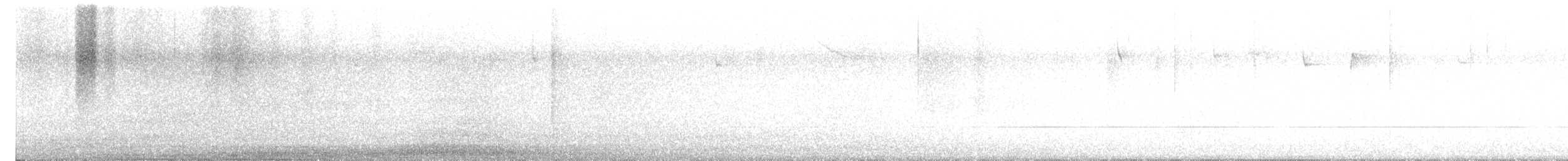 Gelbbauch-Saftlecker - ML646532655