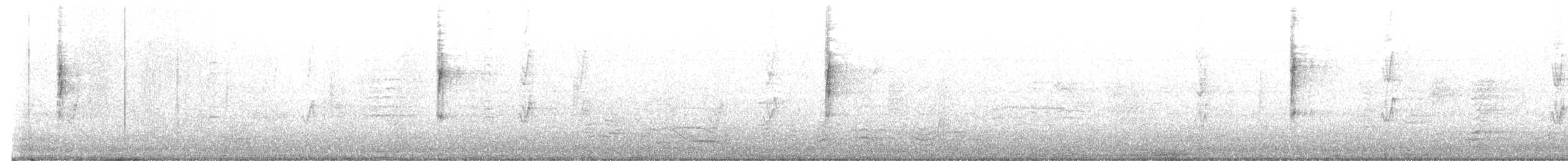 Kronenwaldsänger (Audubonwaldsänger) - ML646532661