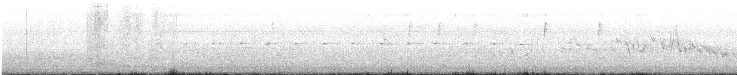 Piping Cisticola - ML646533257