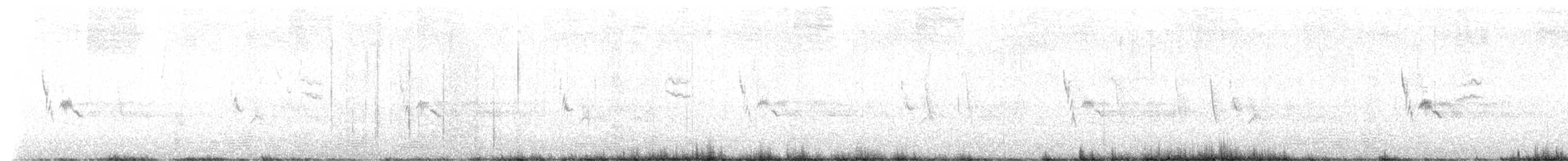 linduška Nicholsonova - ML646533305