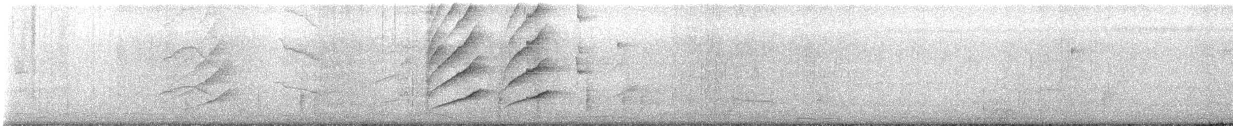 vlhovec velkoocasý - ML646533420