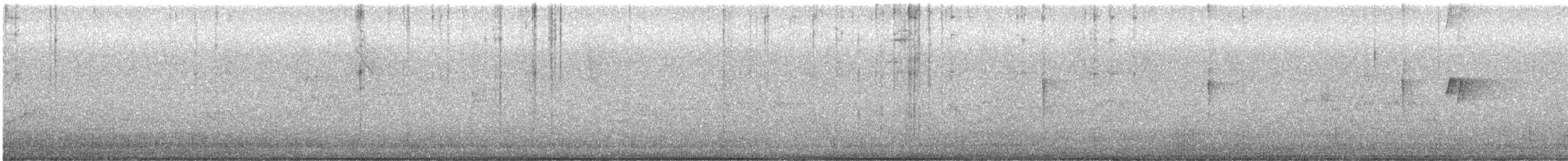 Common Tody-Flycatcher - ML646533702