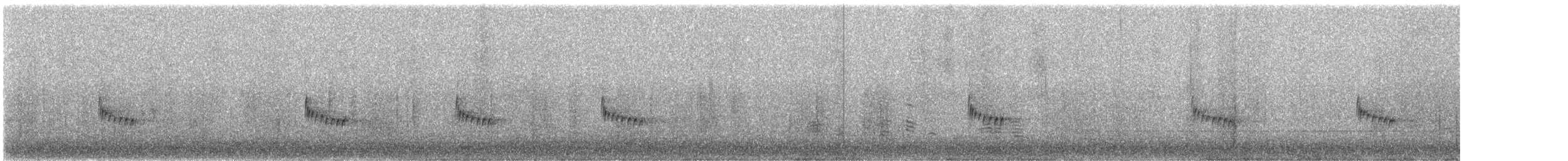 střízlík karolínský - ML646533739