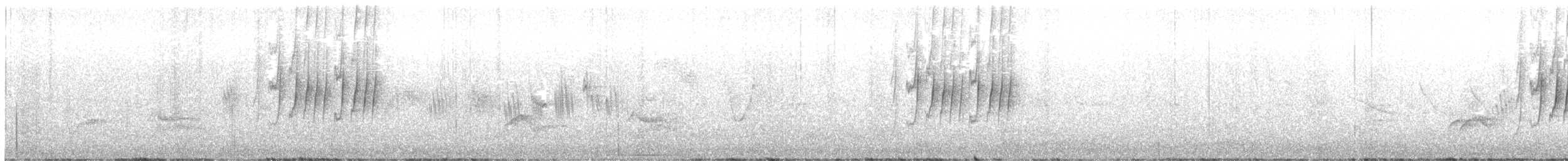 Dünnschnabelcanastero - ML646533936