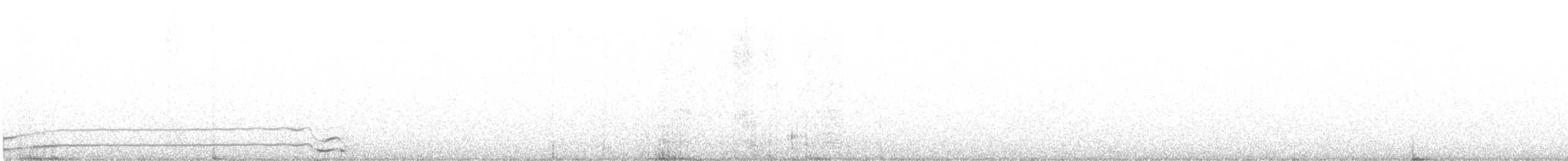 Coyote - ML646534114