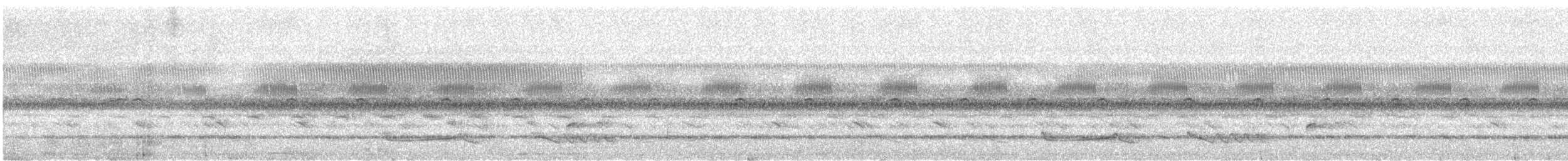 lelek hvízdavý (ssp. nigriscapularis) - ML646534493