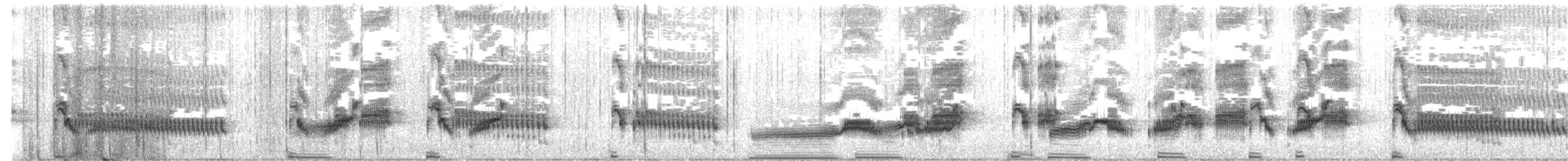 chřástal břidlicový - ML646534573