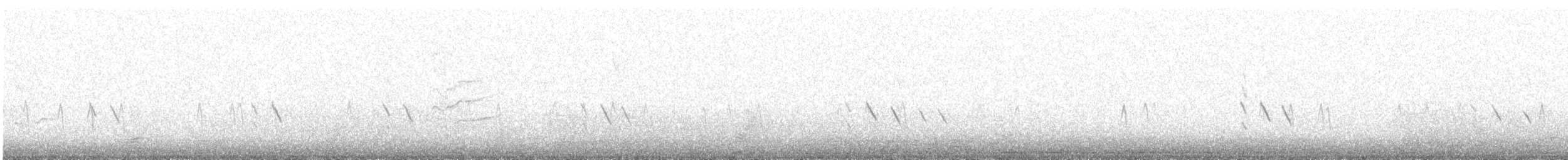 Red Crossbill (Northeastern or type 12) - ML646535796