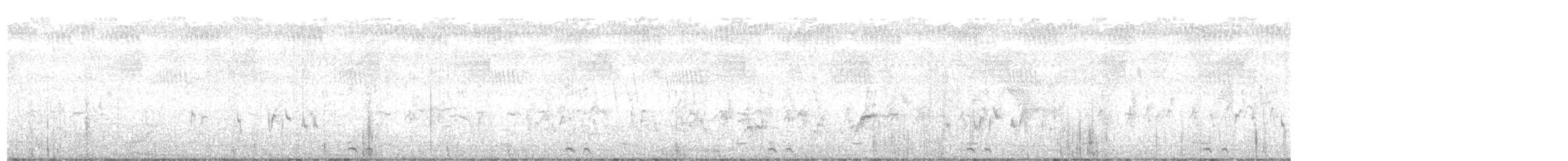 Black Coucal - ML646537098