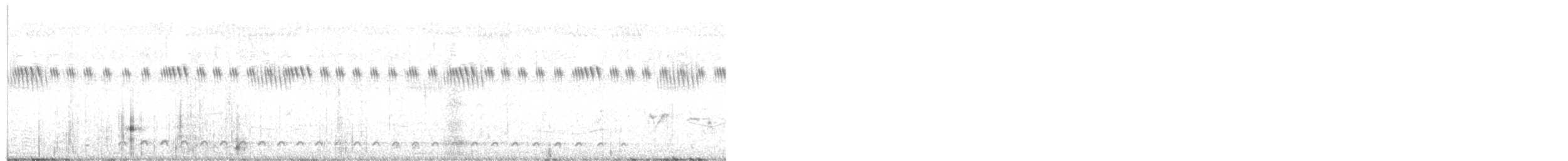 Black Coucal - ML646537099