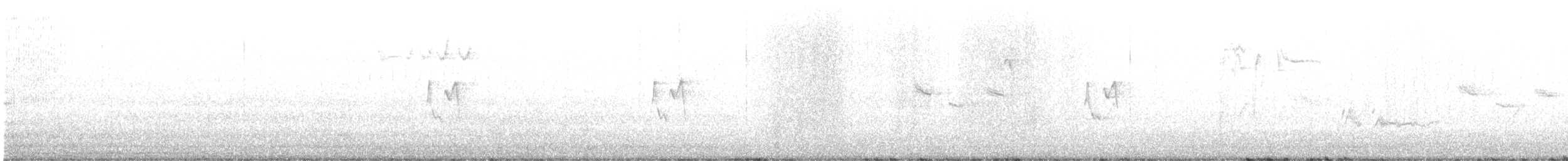 淡眉柳鶯 - ML646537112