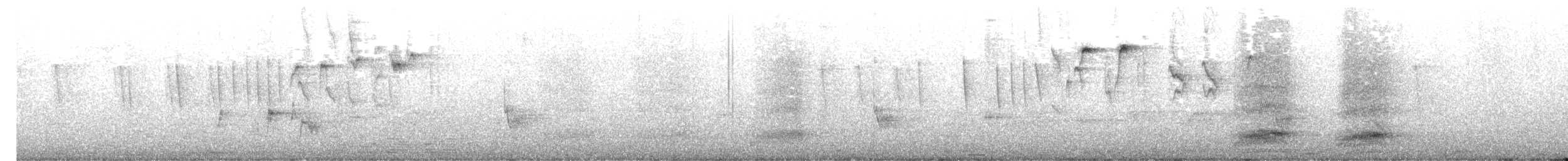 Long-tailed Glossy Starling - ML646537350