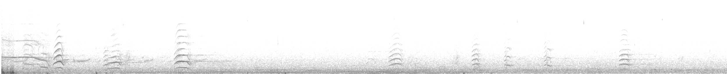 Short-billed Gull - ML646537539