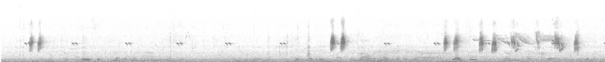 Brown-chested Martin (fusca) - ML646537765