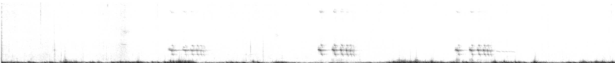 Equatorial Antpitta - ML646537819