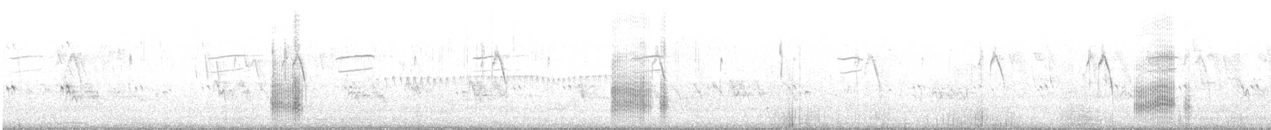 Калита сіроволий - ML646538604