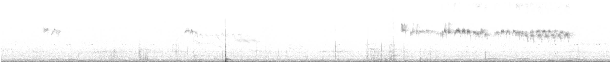 Andean Swift - ML646539001