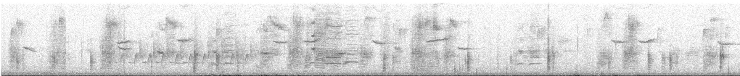 Common Grackle - ML646539045