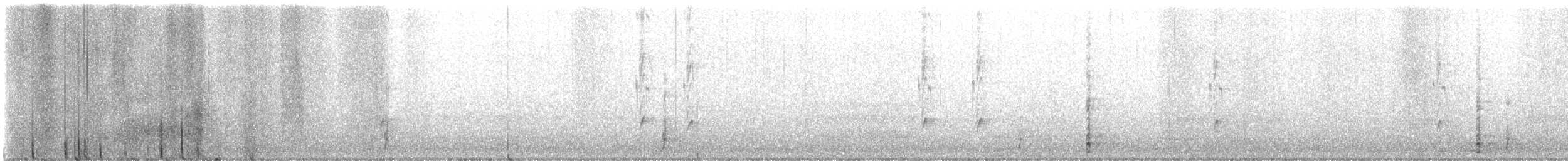 krocan divoký - ML646539080