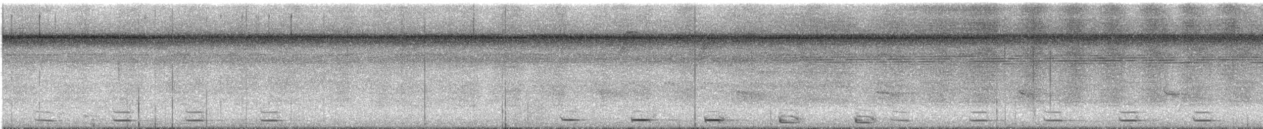 White-lored Antpitta - ML646539858