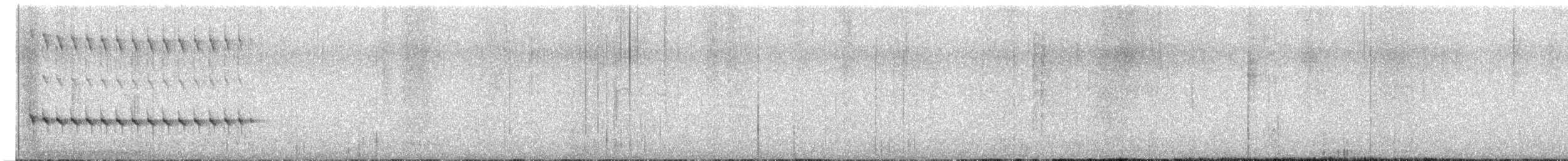 Equatorial Antpitta - ML646542429