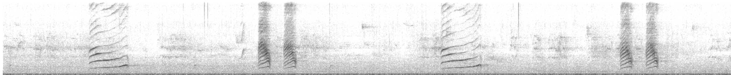 Rufous-bellied Thrush - ML646542462