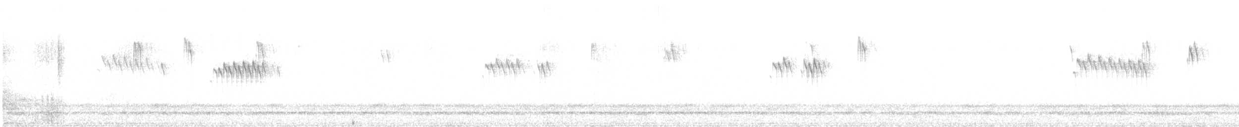 Buztanori boreala - ML646543209