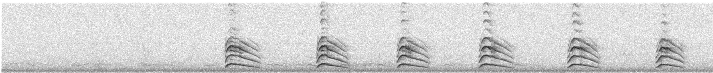 Cooper's Hawk - ML646544139