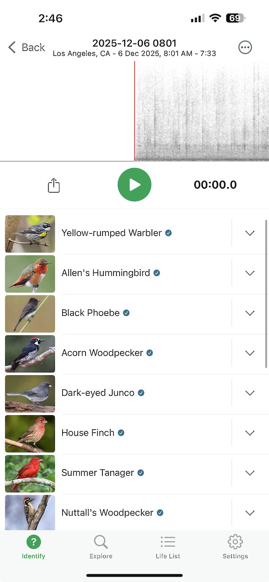 piranga ohnivá - ML646545210