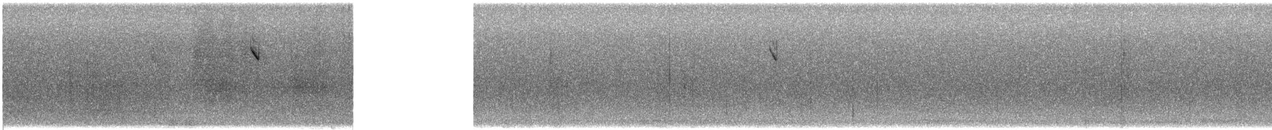 Field Sparrow - ML646546330