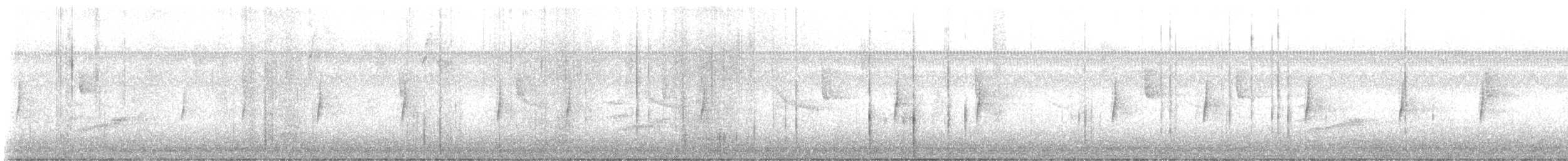 Collared Forest-Falcon - ML646546426