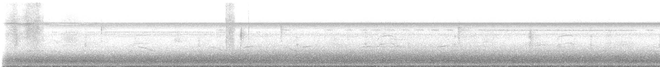 Yellow-rumped Warbler - ML646546620