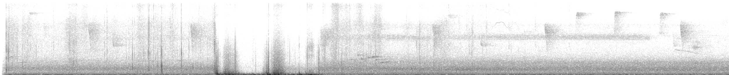 White-bellied Wren - ML646546844