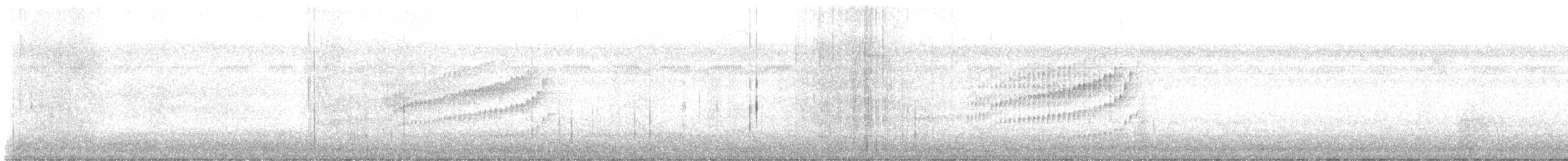 クロボシマユミソサザイ - ML646546999