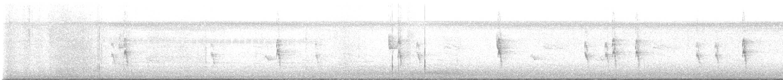 Атіла золотогузий - ML646547271