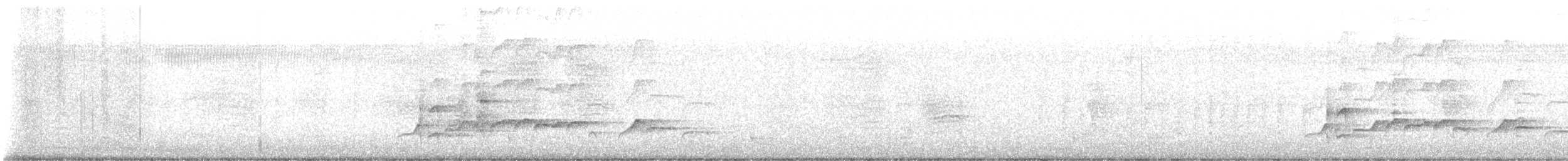 Атіла золотогузий - ML646547365